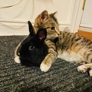 Meet your Posher, Robyn